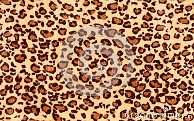 Leopard spots background Stock Photo