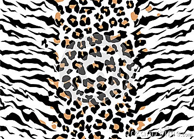 Vector leopard tiger jaguar texture abstract background orange and white black. Vector jungle. Bengal cat strip Vector Illustration