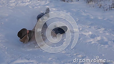 Les adolescents d'enfants montent sur la glace des montagnes neigeuses Tour de sourire de fille dans la neige L'hiver Jeux de nei banque de vidéos Les adolescents d'enfants montent sur la glace des montagnes neigeuses Tour de sourire de fille dans la neige L'hiver Jeux de nei banque de vidéos
