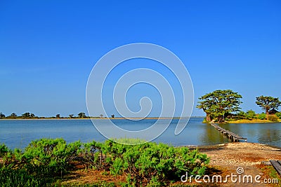 Les Collines de Niassam, Sine-Saloum delta, Senegal Stock Photo