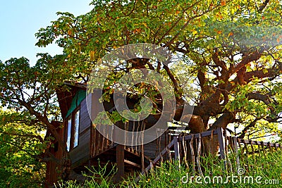 Les Collines de Niassam, Sine-Saloum delta, Senegal Stock Photo