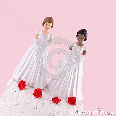 Lesbian wedding day Stock Photo