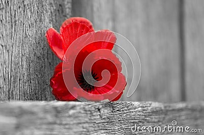 Lest We Forget Stock Photo