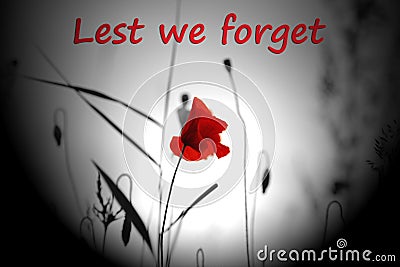 Lest we forget on an image of a red poppy in a field, remembrance day concept. Stock Photo