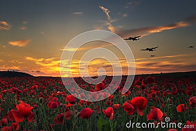 Lest we Forget, Lancaster bombers flying across poppy fields Stock Photo