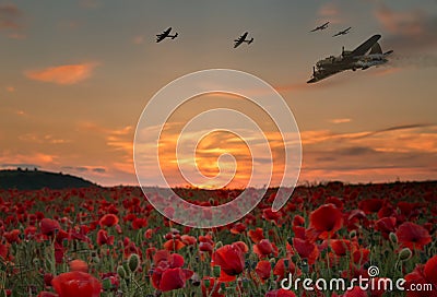 Lest We Forget war planes flying over red poppy field Stock Photo