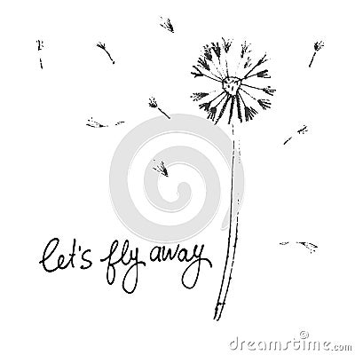 Let's Fly Away vector card. Hand drawn illustration of dandelion with seeds blowing in the wind Vector Illustration