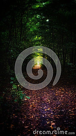 Lets go through the tunel in the forest Stock Photo