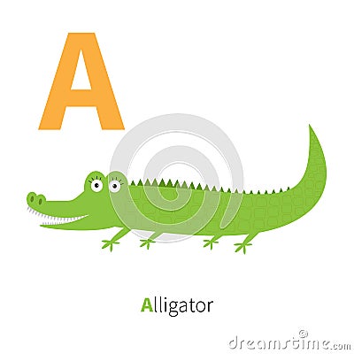 Letter A Alligator Zoo alphabet. English abc with animals Education cards for kids White background Flat design Vector Illustration