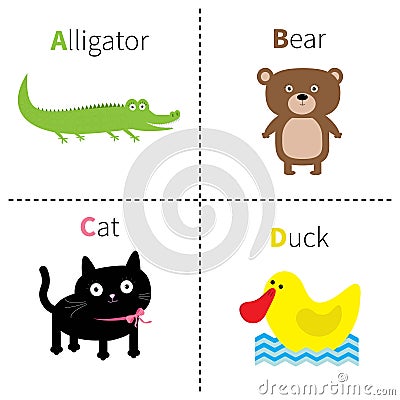 Letter A B C D Alligator Cat Bear Duck Zoo alphabet. English abc with animals Education cards for kids White background F Vector Illustration