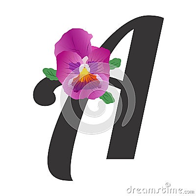 Letter A with bright single pansy flower lilac Vector Illustration