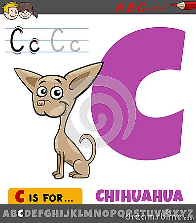 letter C from alphabet with cartoon chihuahua dog animal character Vector Illustration