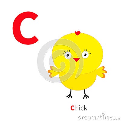 Letter C Chick bird Zoo alphabet. English abc with animals Education ...