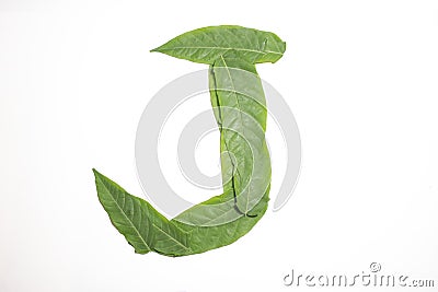 Letter A composed of green leaves Stock Photo