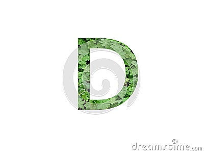 Letter D of the alphabet made with green leaf of geranium Stock Photo