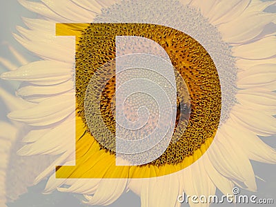 letter D of the alphabet made with a sunflower Stock Photo