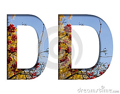 Letter D cut out of white on a background of autumn ripe red viburnum berries, autumn trees and a beautiful blue sky. Decorative Stock Photo