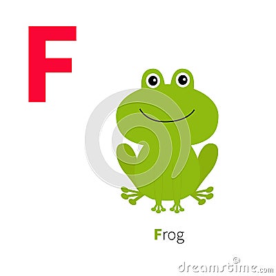 Letter F Frog Zoo alphabet. English abc with animals Education cards for kids White background Flat design Vector Illustration