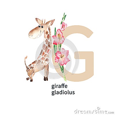 Letter G, giragffe, cute kids colorful animals and flower ABC alphabet. Watercolor illustration isolated on white Cartoon Illustration