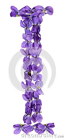Letter I from alphabet, from flowers of violet, isolated on white background Stock Photo