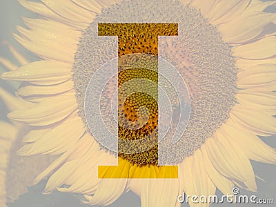 letter I of the alphabet made with a sunflower Stock Photo