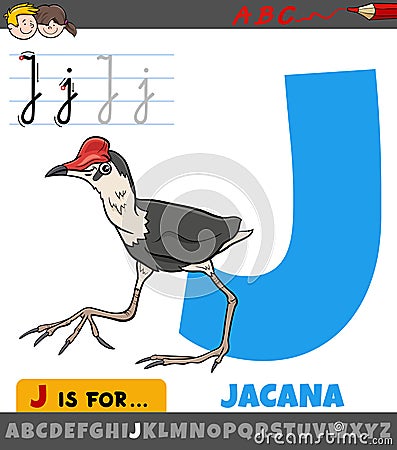 Letter J from alphabet with cartoon jacana bird animal character Vector Illustration