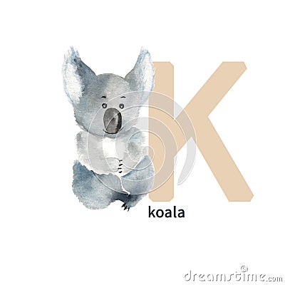 Letter K, koala, cute kids animal ABC alphabet. Watercolor illustration isolated on white background. Can be used for Cartoon Illustration