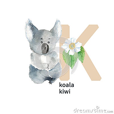 Letter K, koala and kiwi, cute kids colorful animals and flower ABC alphabet. Watercolor illustration isolated on white Cartoon Illustration