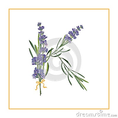 Letter K monogram. Retro sign alphabet with lavender flower initial Cartoon Illustration