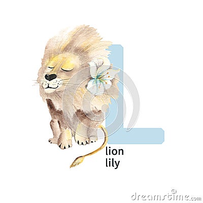 Letter L, lion and lily, cute kids colorful animals and flower ABC alphabet. Watercolor illustration isolated on white Cartoon Illustration