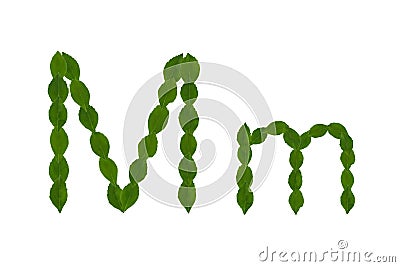 Letter M, alphabet made from green leaves Stock Photo