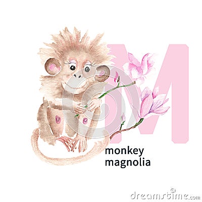 Letter M, monkey, magnolia, cute kids colorful animals and flower ABC alphabet. Watercolor illustration isolated on Cartoon Illustration