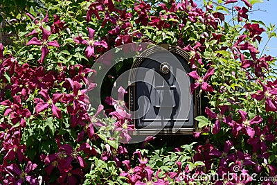 Letter mail box surrounded by flowers Stock Photo