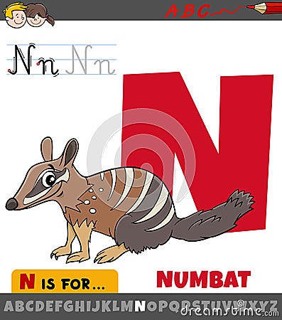 Letter N from alphabet with cartoon numbat animal character Vector Illustration