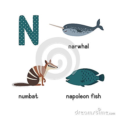 Letter N. Cartoon alphabet for children. vector illustration animal numbat, narwhal, napoleon fish Vector Illustration