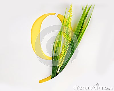 Letter 9 numbers with paper craft yellow flower. ABC concept type as logo on white background Stock Photo