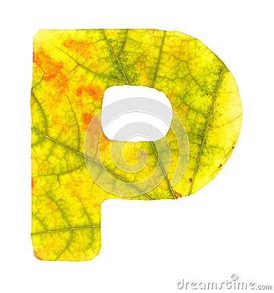 Letter P carved from the autumn leaves Stock Photo