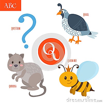 Letter Q. Cartoon alphabet for children. Quail, question, queen Vector Illustration