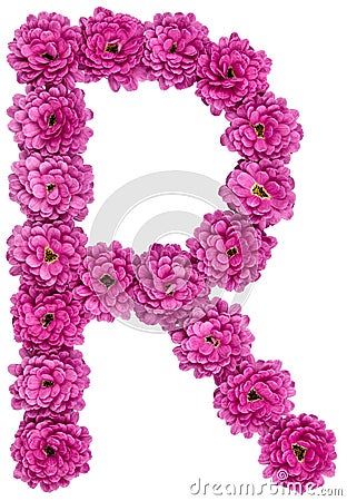 Letter R, alphabet from flowers of chrysanthemum, isolated on white background Stock Photo