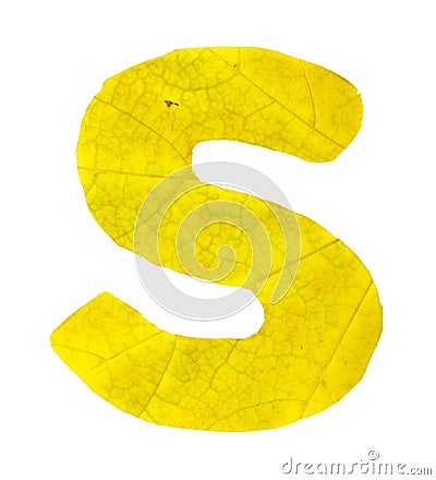 Letter S carved from the autumn leaves Stock Photo