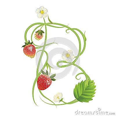 Letter A Strawberry font. Red Berry lettering alphabet. Fruits ABC Vector Illustration