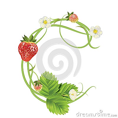 Letter A Strawberry font. Red Berry lettering alphabet. Fruits ABC Vector Illustration