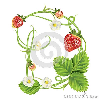 Letter A Strawberry font. Red Berry lettering alphabet. Fruits ABC Vector Illustration