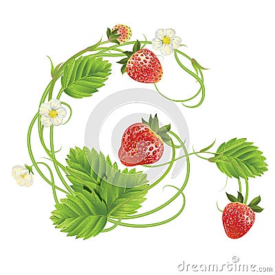 Letter A Strawberry font. Red Berry lettering alphabet. Fruits ABC Vector Illustration