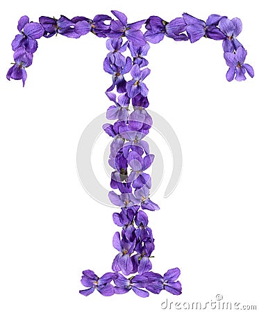 Letter T from alphabet, from flowers of violet, isolated on white background Stock Photo