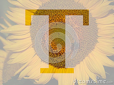 letter t of the alphabet made with a sunflower Stock Photo