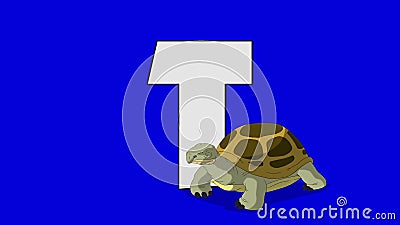 Turtle. English ZOO Alphabet - Letter T Stock Footage - Video of education, animation: 63718060 Turtle. English ZOO Alphabet - Letter T Stock Footage - Video of education, animation: 63718060