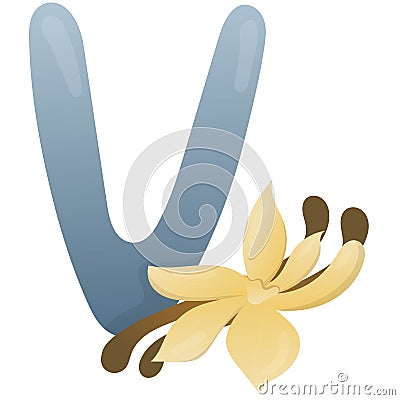 Letter V and stick and vanilla flower on a white background, training card. English vocabulary and alphabet, vector for children Vector Illustration