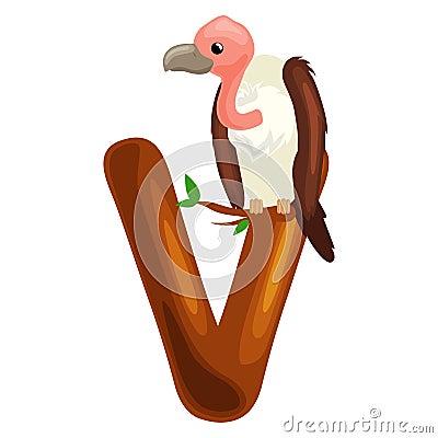 Letter V with vulture animal for kids abc education in preschool. Vector Illustration