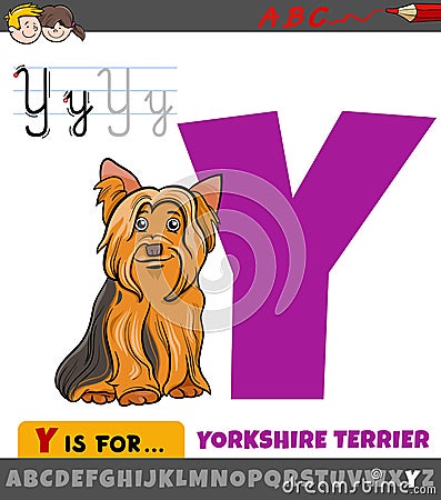 Letter Y from alphabet with cartoon Yorkshire terrier Vector Illustration